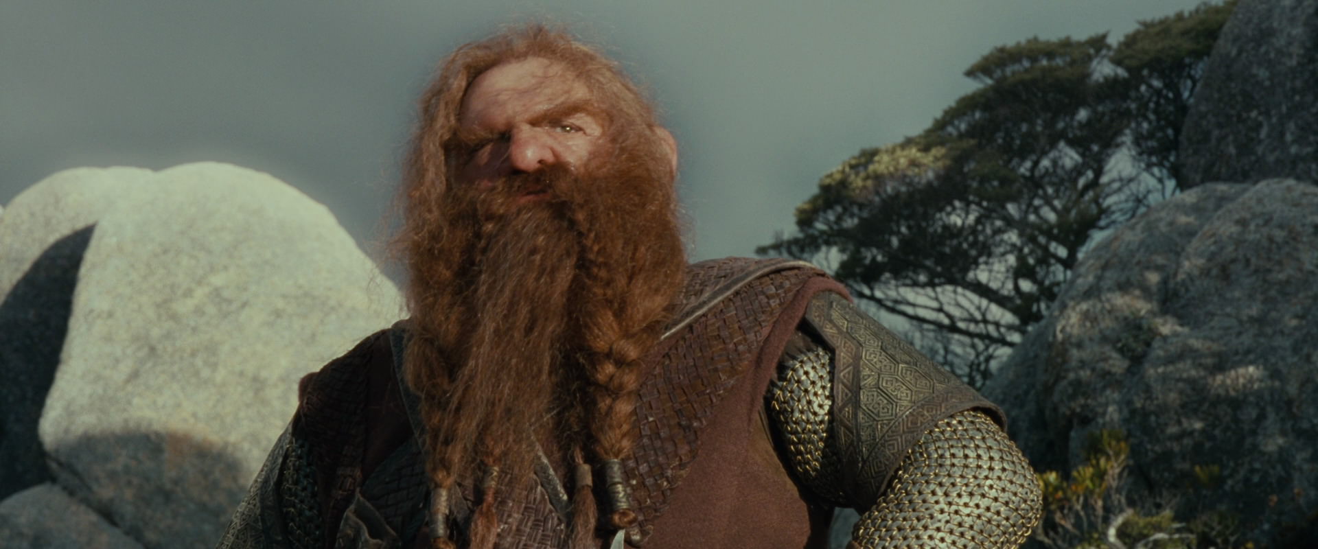 The Lord of the Rings: The Fellowship of the Ring (2001) screencap 13185
