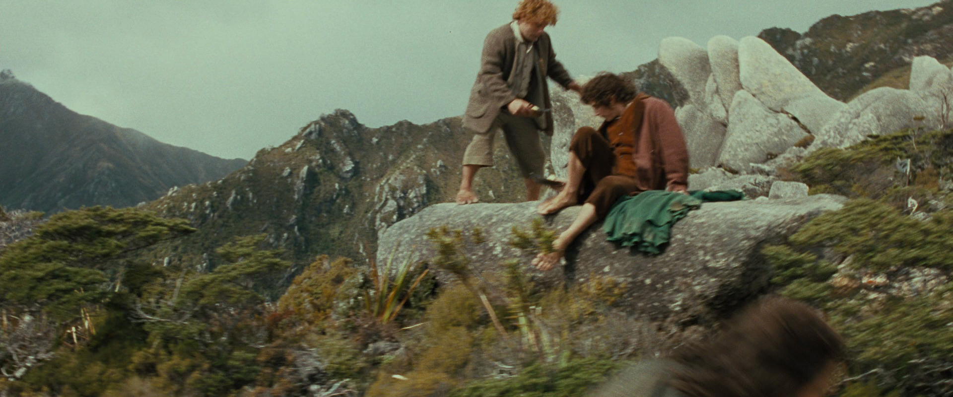 The Lord of the Rings: The Fellowship of the Ring (2001) screencap 13209