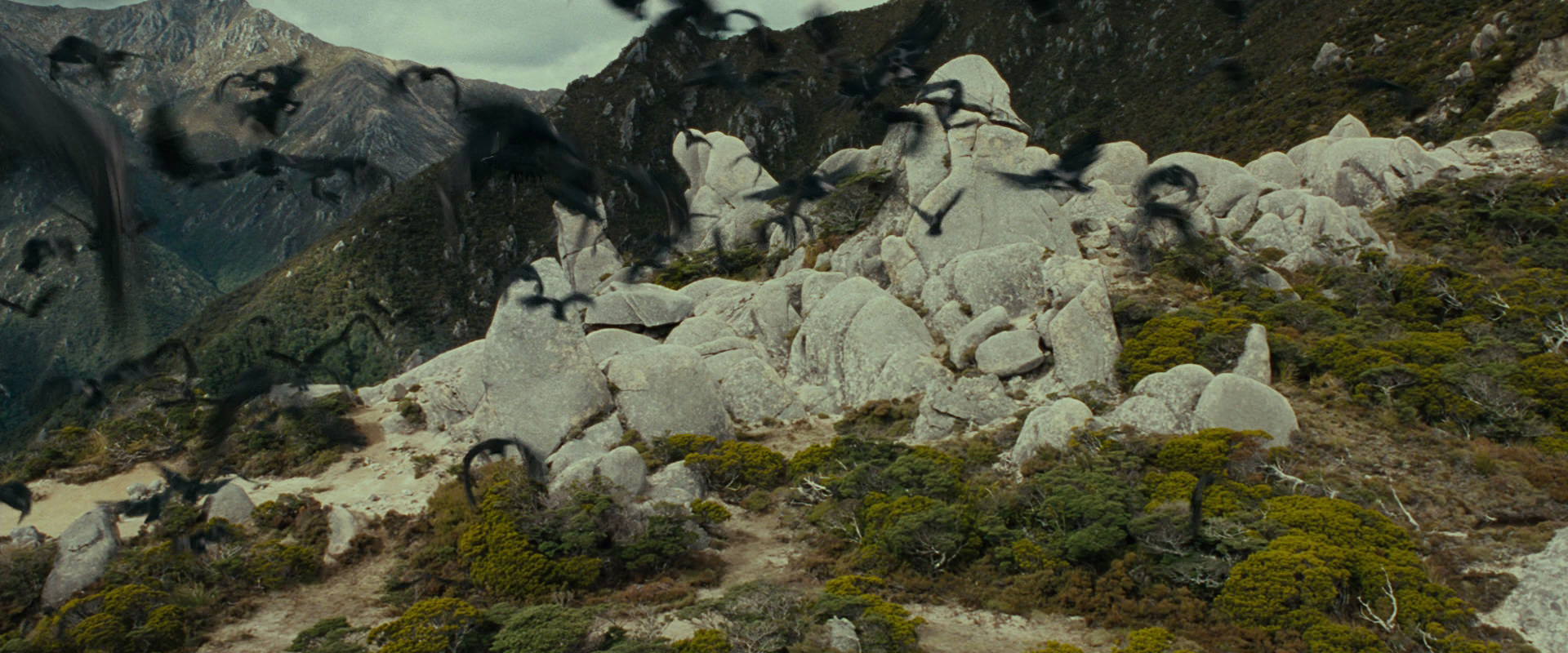 The Lord of the Rings: The Fellowship of the Ring (2001) screencap 13239
