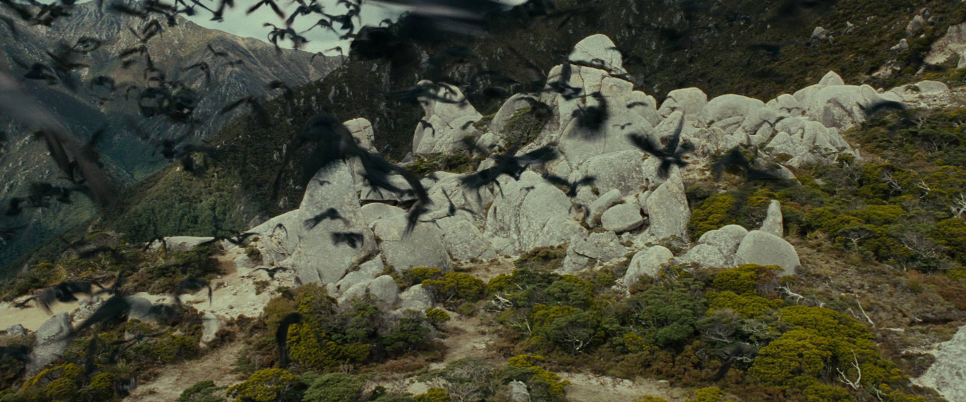 The Lord of the Rings: The Fellowship of the Ring (2001) screencap 13242