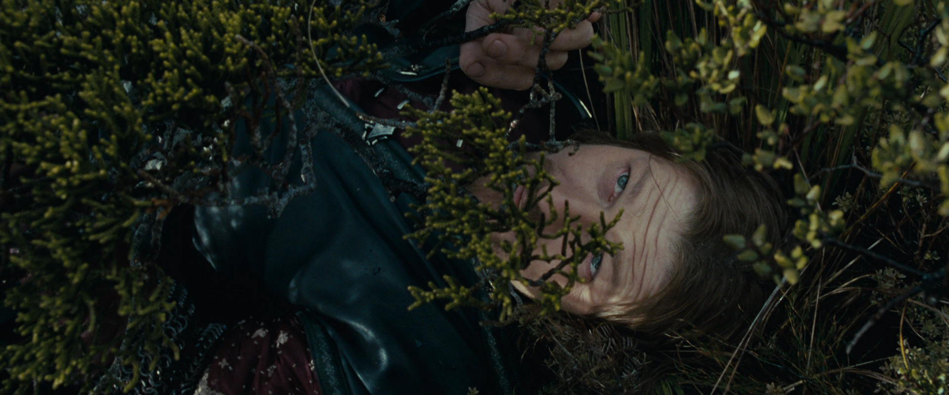 The Lord of the Rings: The Fellowship of the Ring (2001) movie still 13246