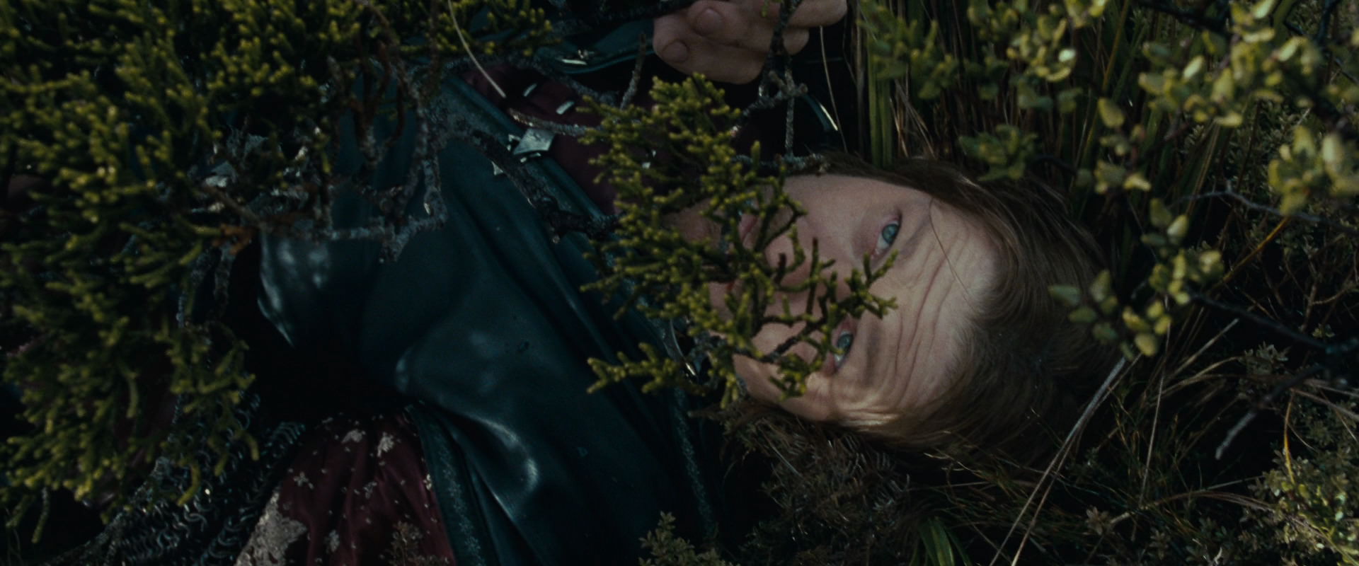 The Lord of the Rings: The Fellowship of the Ring (2001) HD screenshot 13247