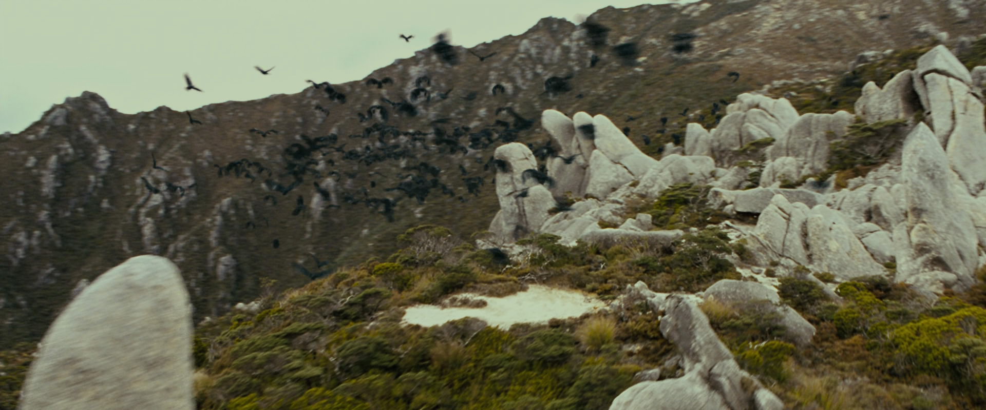 The Lord of the Rings: The Fellowship of the Ring (2001) screencap 13254