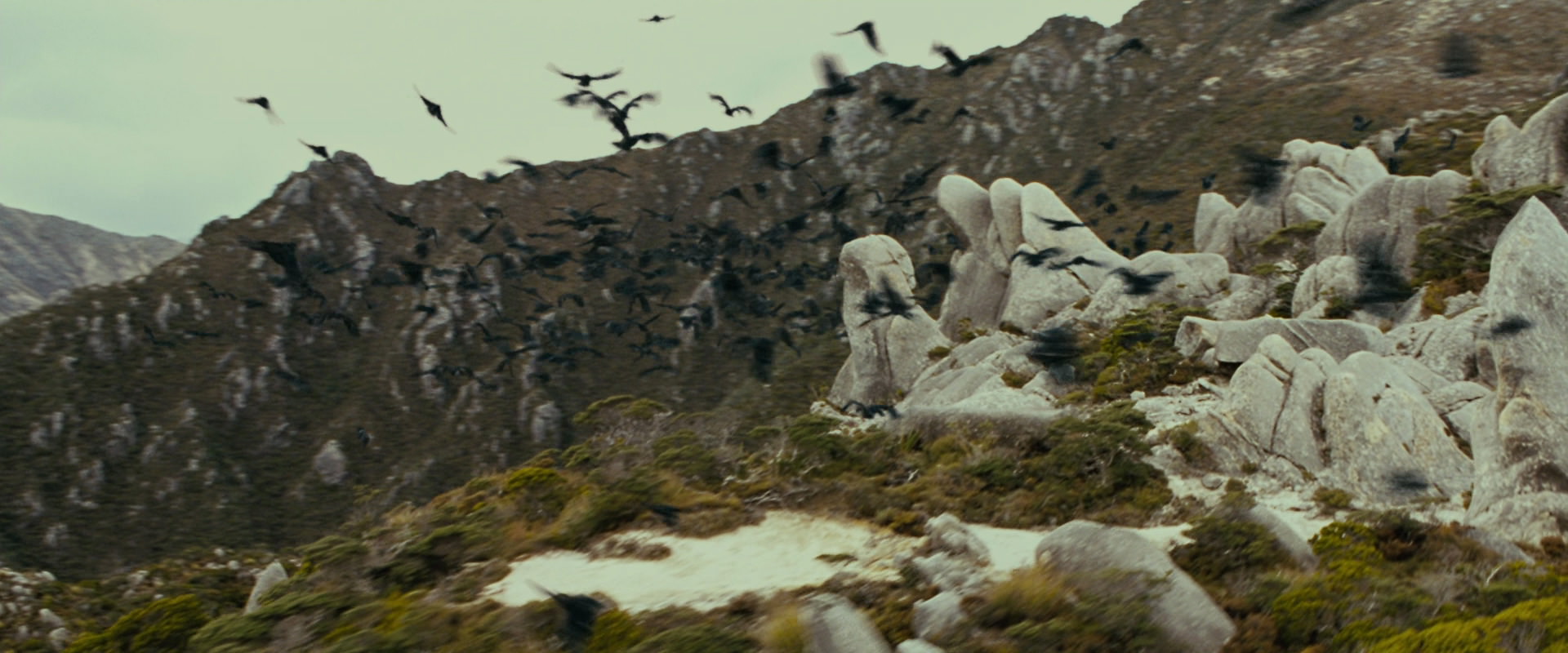 The Lord of the Rings: The Fellowship of the Ring (2001) movie still 13255