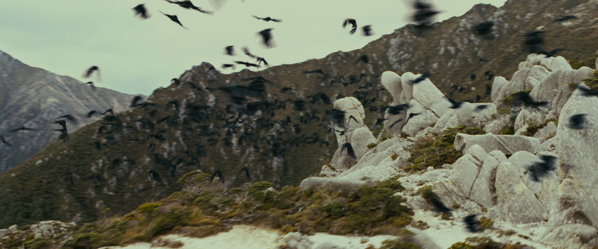 The Lord of the Rings: The Fellowship of the Ring (2001) HD screenshot 13256