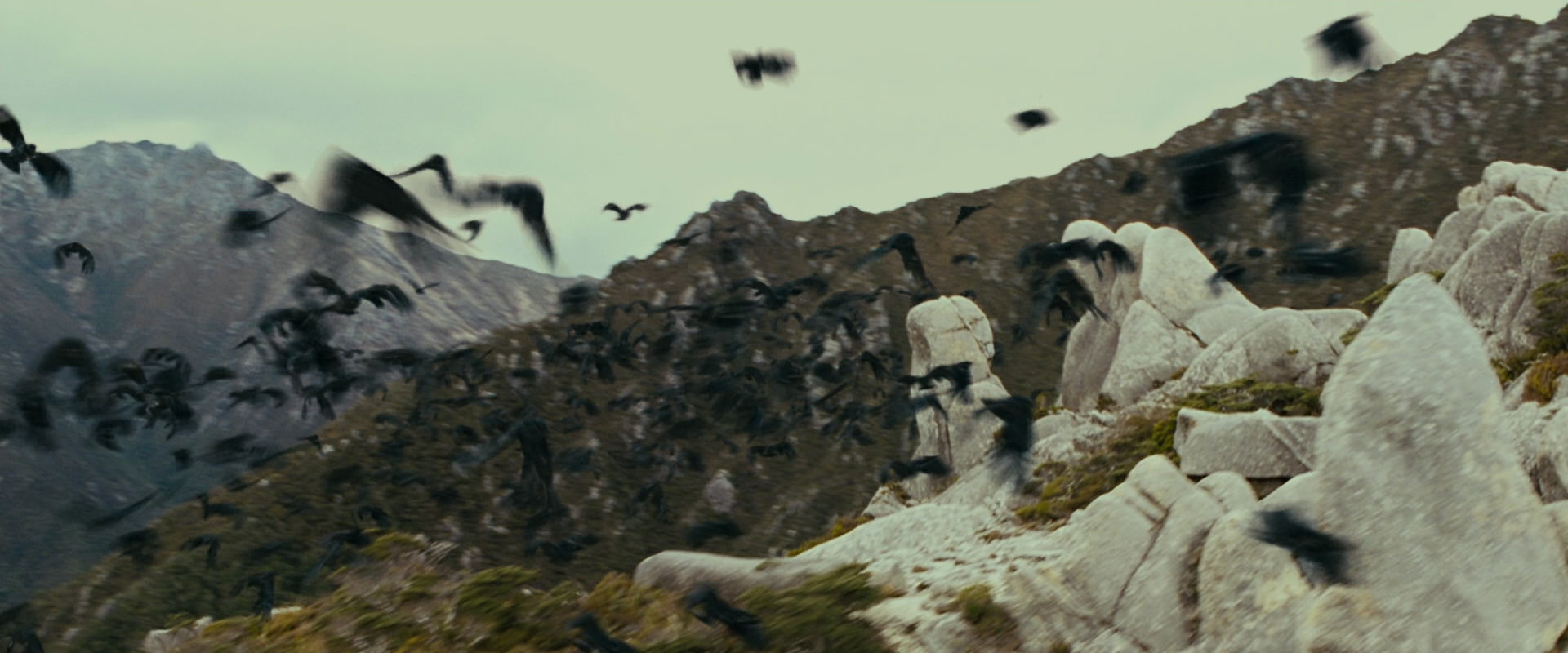The Lord of the Rings: The Fellowship of the Ring (2001) screencap 13257