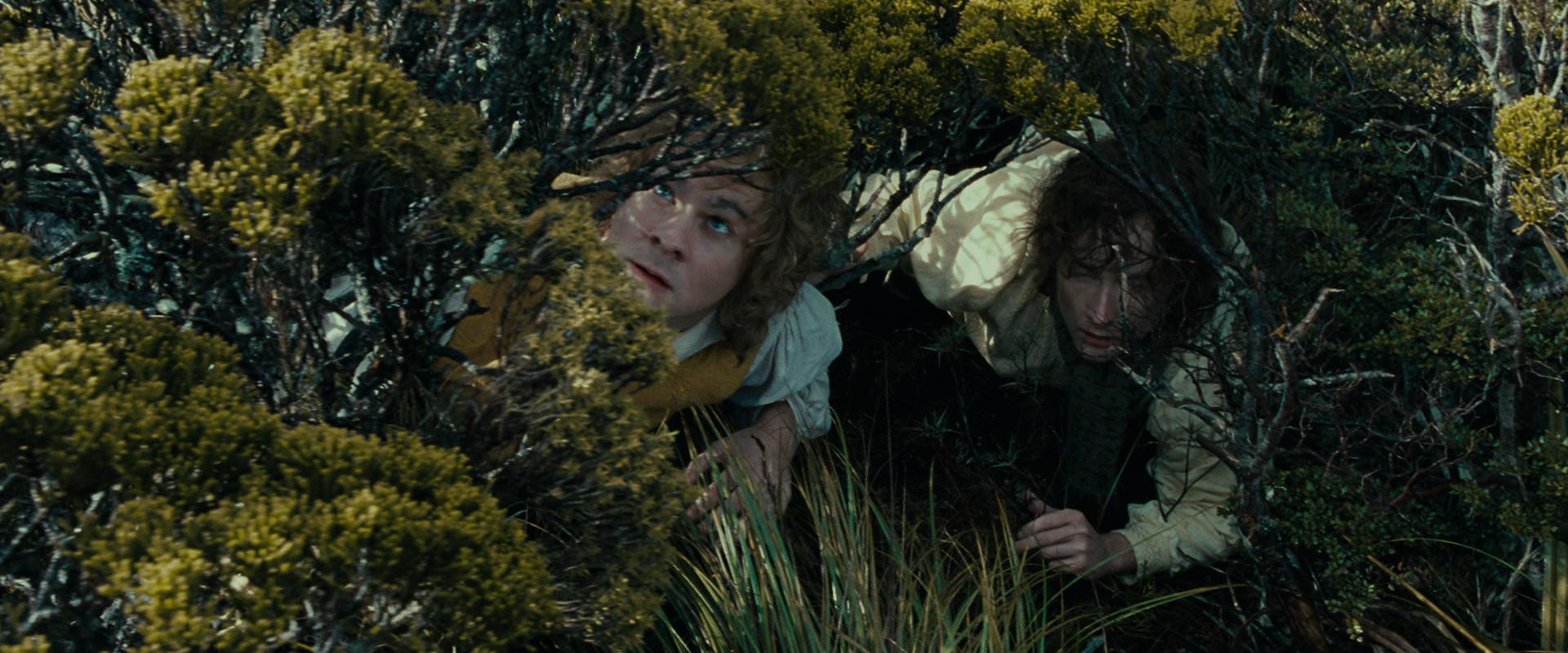 The Lord of the Rings: The Fellowship of the Ring (2001) movie still 13261