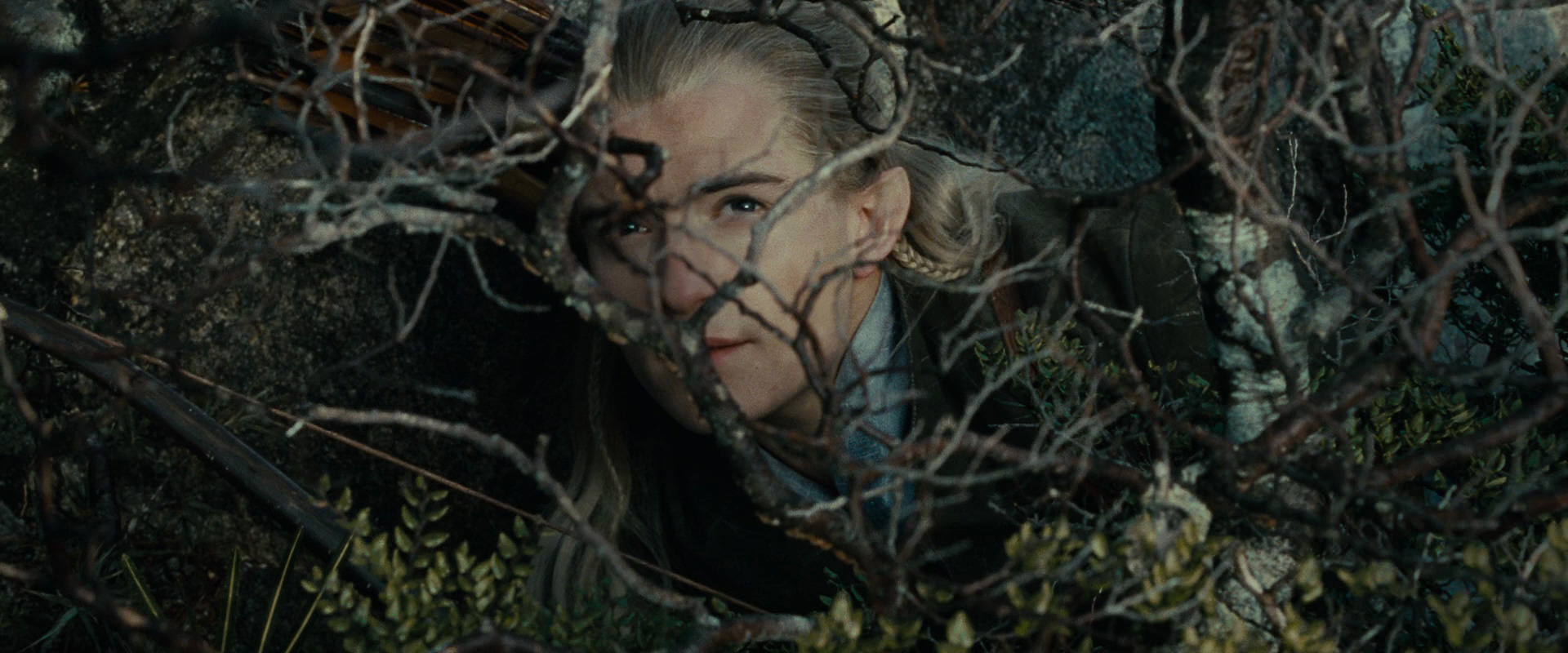 The Lord of the Rings: The Fellowship of the Ring (2001) HD screenshot 13262