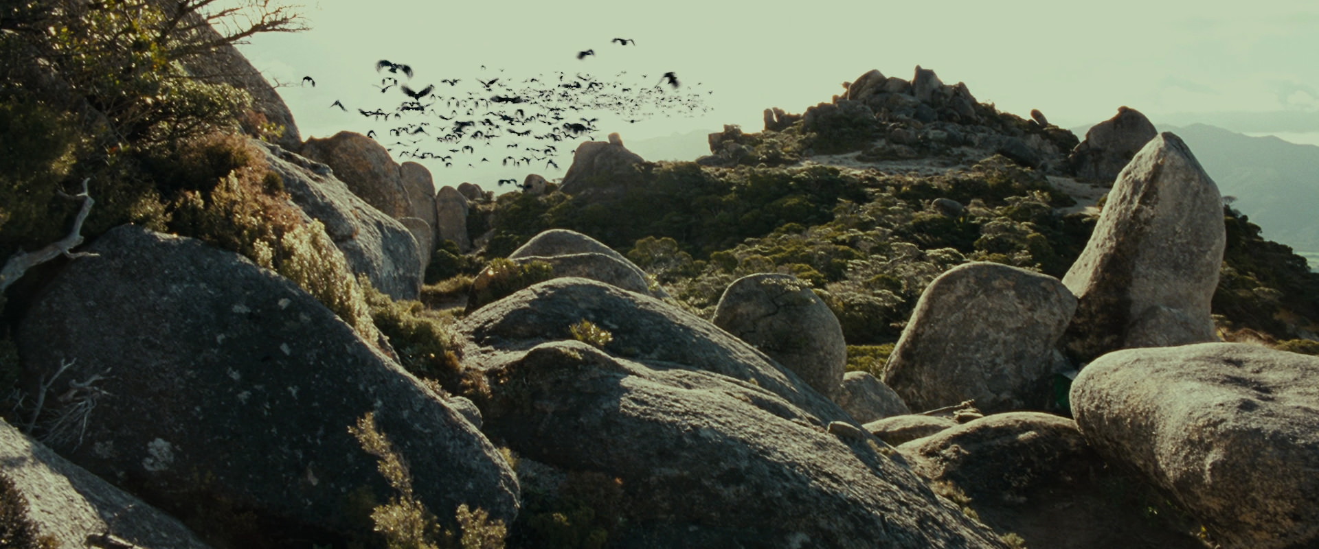 The Lord of the Rings: The Fellowship of the Ring (2001) movie still 13264