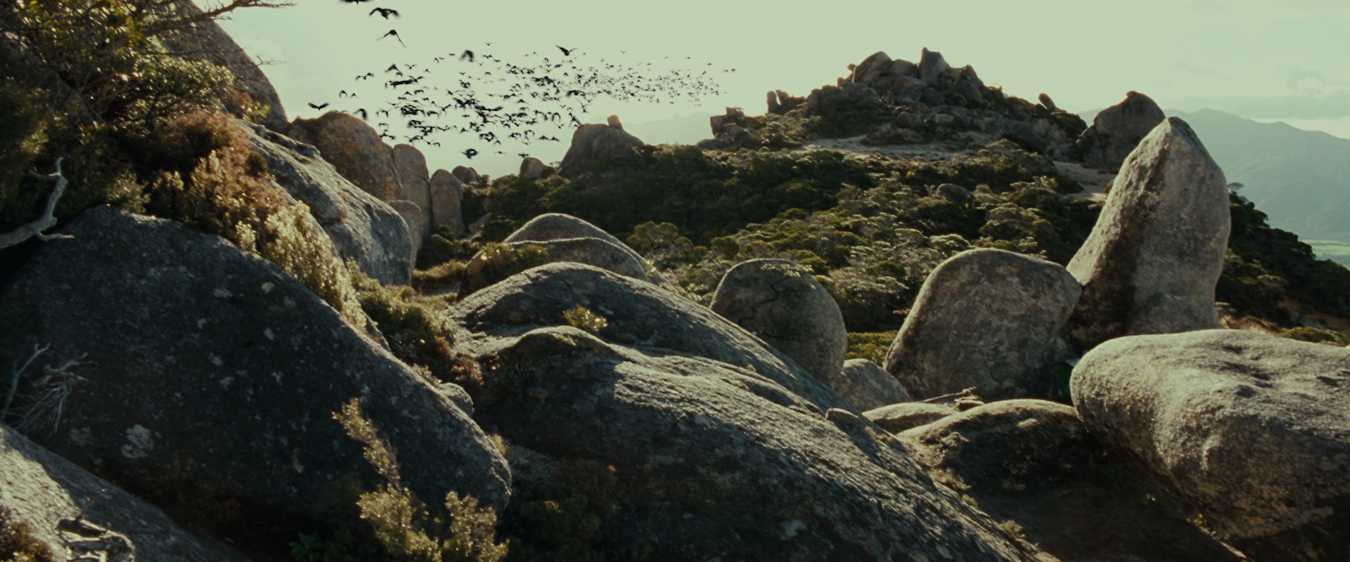 The Lord of the Rings: The Fellowship of the Ring (2001) HD screenshot 13265