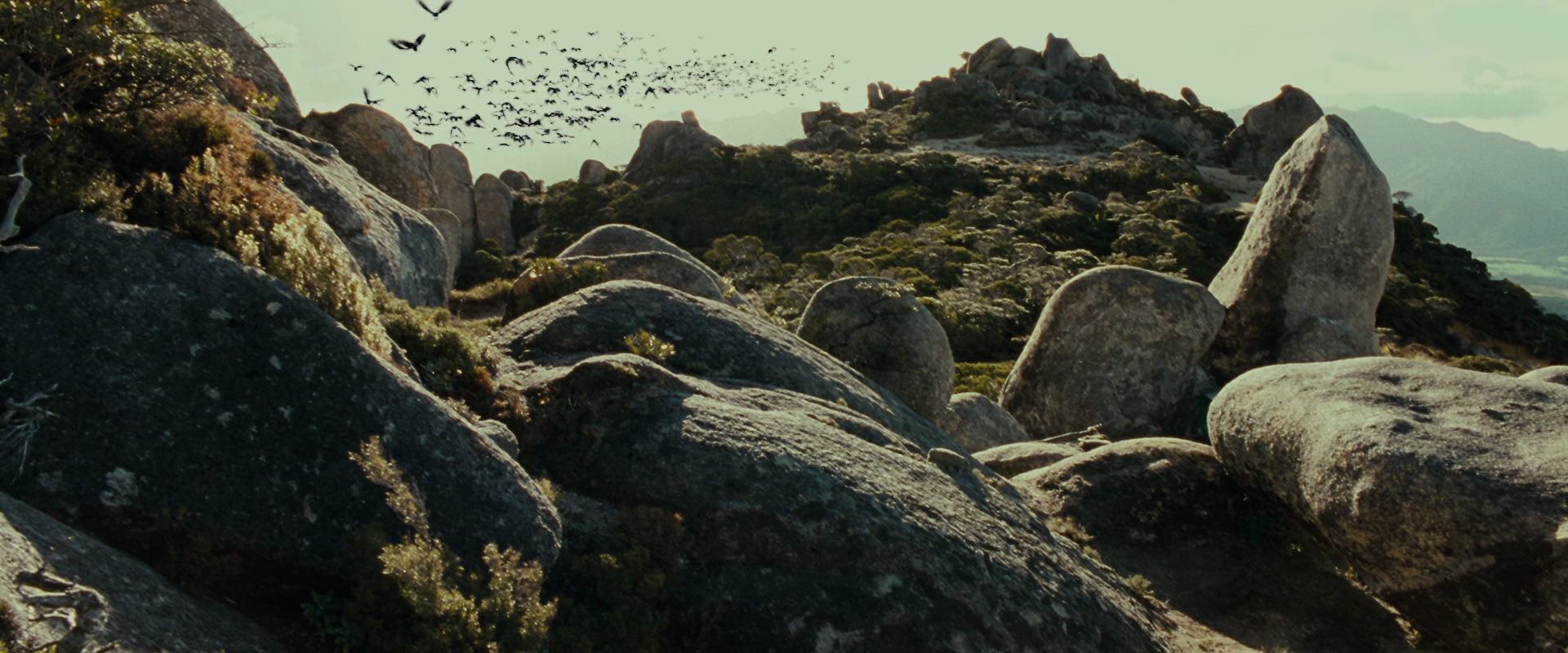 The Lord of the Rings: The Fellowship of the Ring (2001) screencap 13266