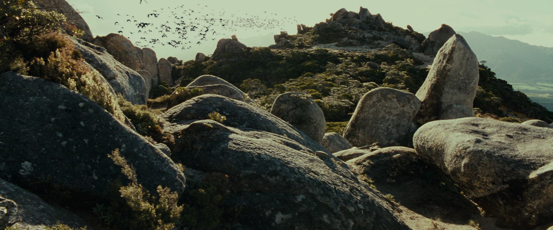 The Lord of the Rings: The Fellowship of the Ring (2001) movie still 13267