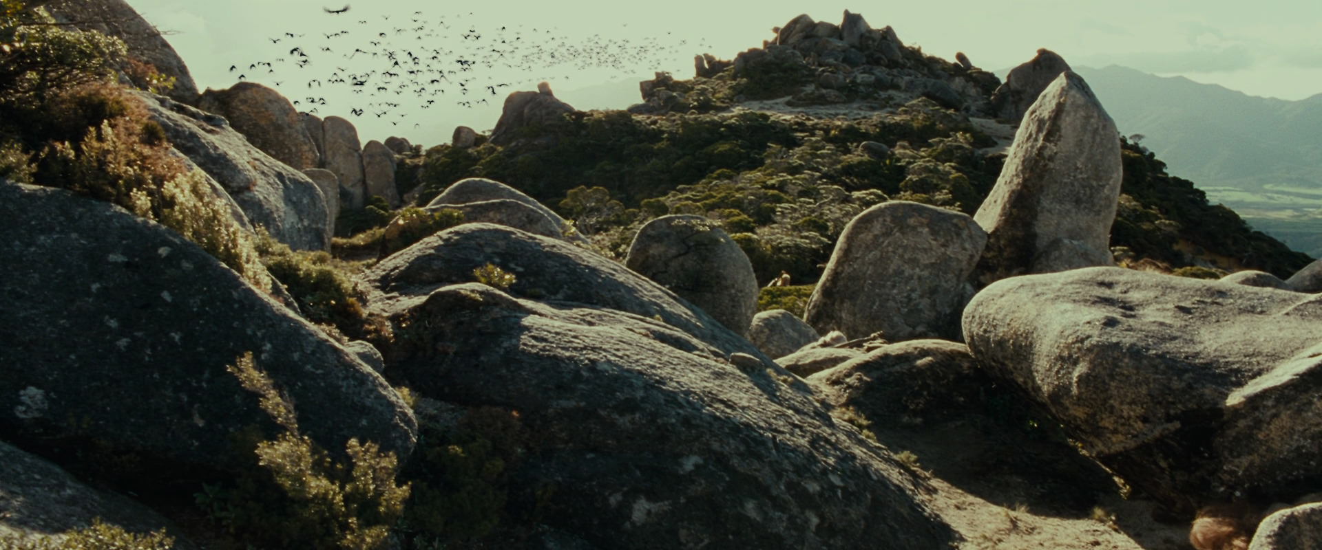 The Lord of the Rings: The Fellowship of the Ring (2001) HD screenshot 13268