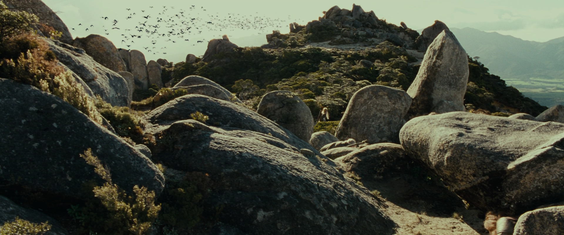 The Lord of the Rings: The Fellowship of the Ring (2001) screencap 13269