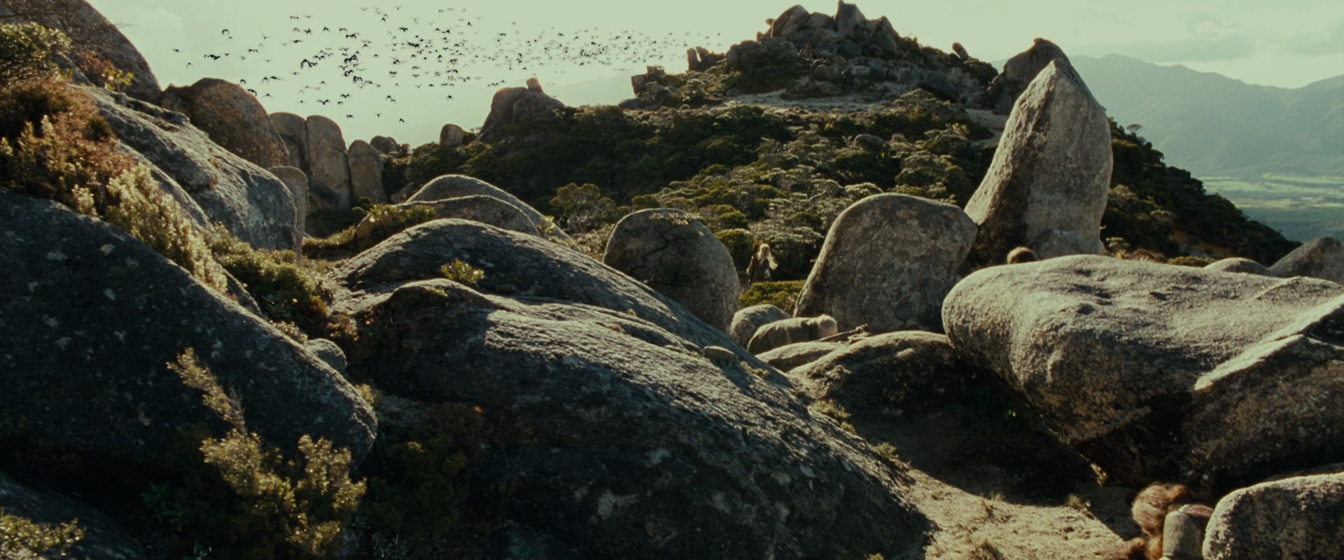 The Lord of the Rings: The Fellowship of the Ring (2001) movie still 13270