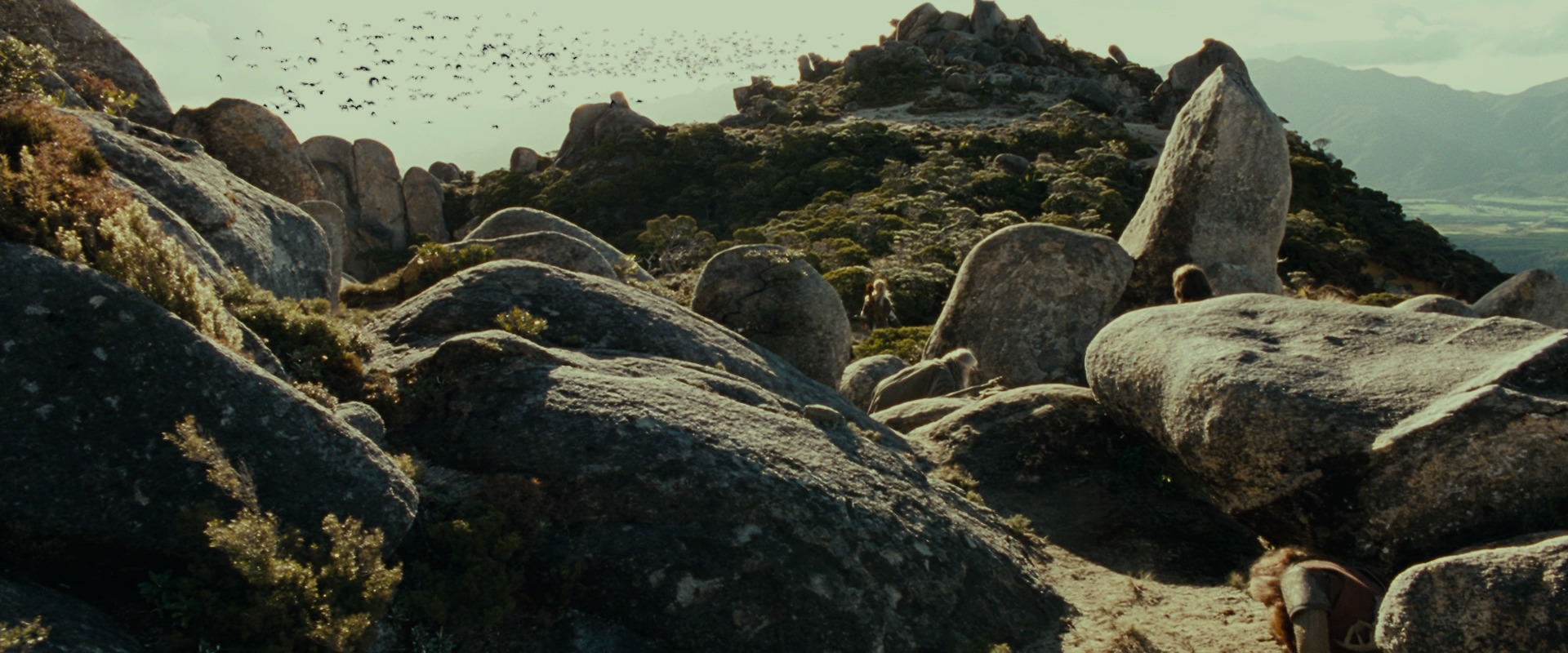 The Lord of the Rings: The Fellowship of the Ring (2001) HD screenshot 13271