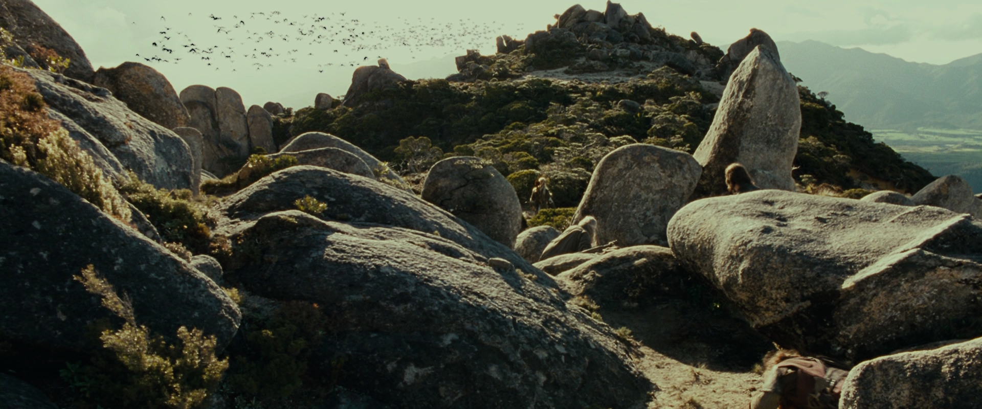 The Lord of the Rings: The Fellowship of the Ring (2001) screencap 13272