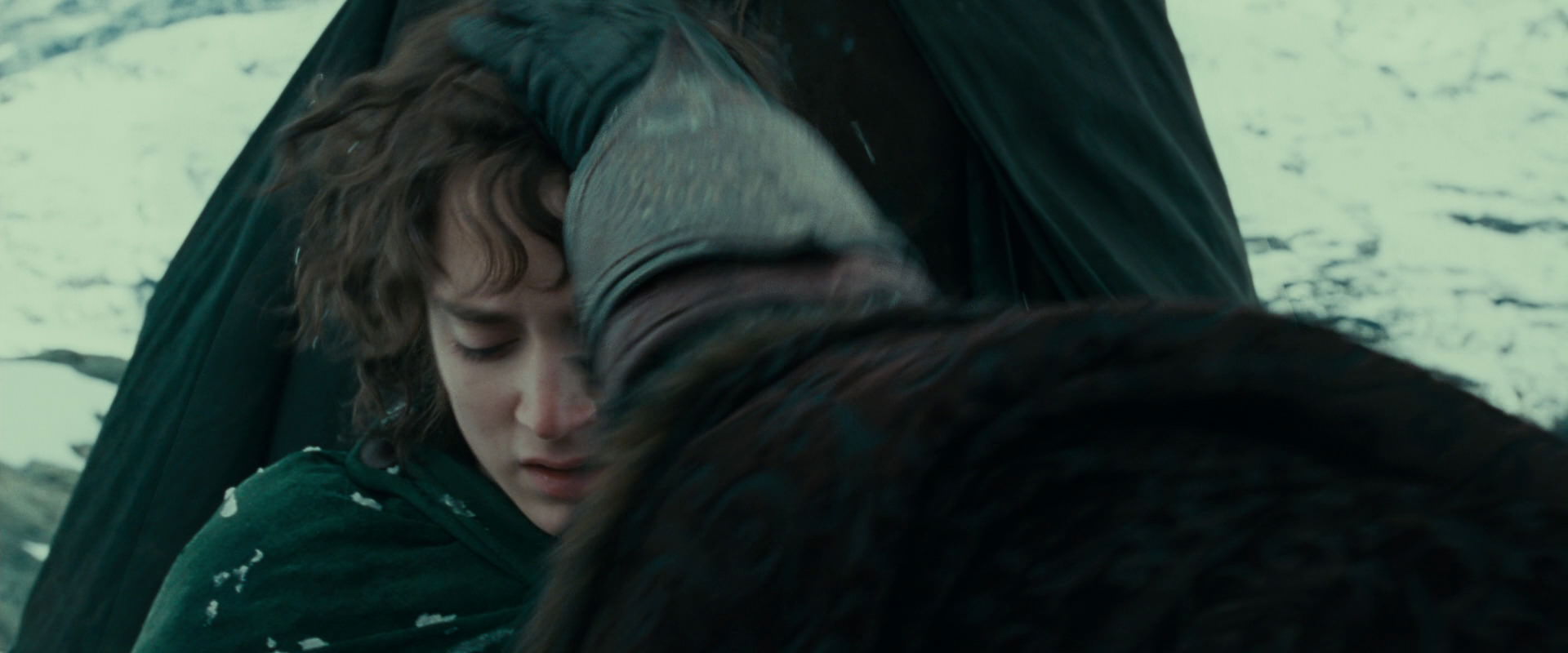 The Lord of the Rings: The Fellowship of the Ring (2001) screencap 13443