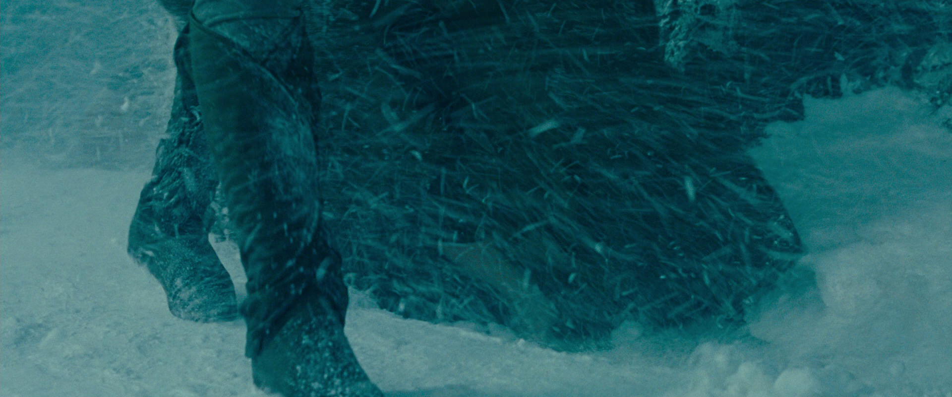 The Lord of the Rings: The Fellowship of the Ring (2001) screencap 13545
