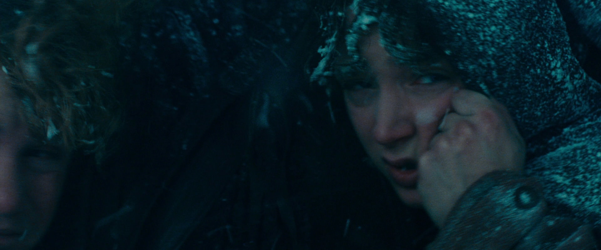 The Lord of the Rings: The Fellowship of the Ring (2001) screencap 13611