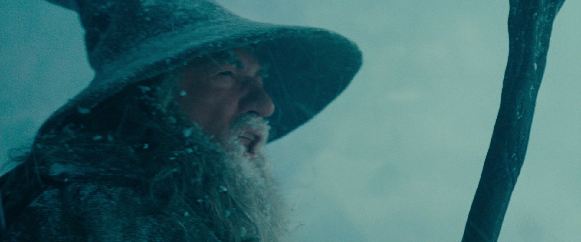 The Lord of the Rings: The Fellowship of the Ring (2001) screencap 13617