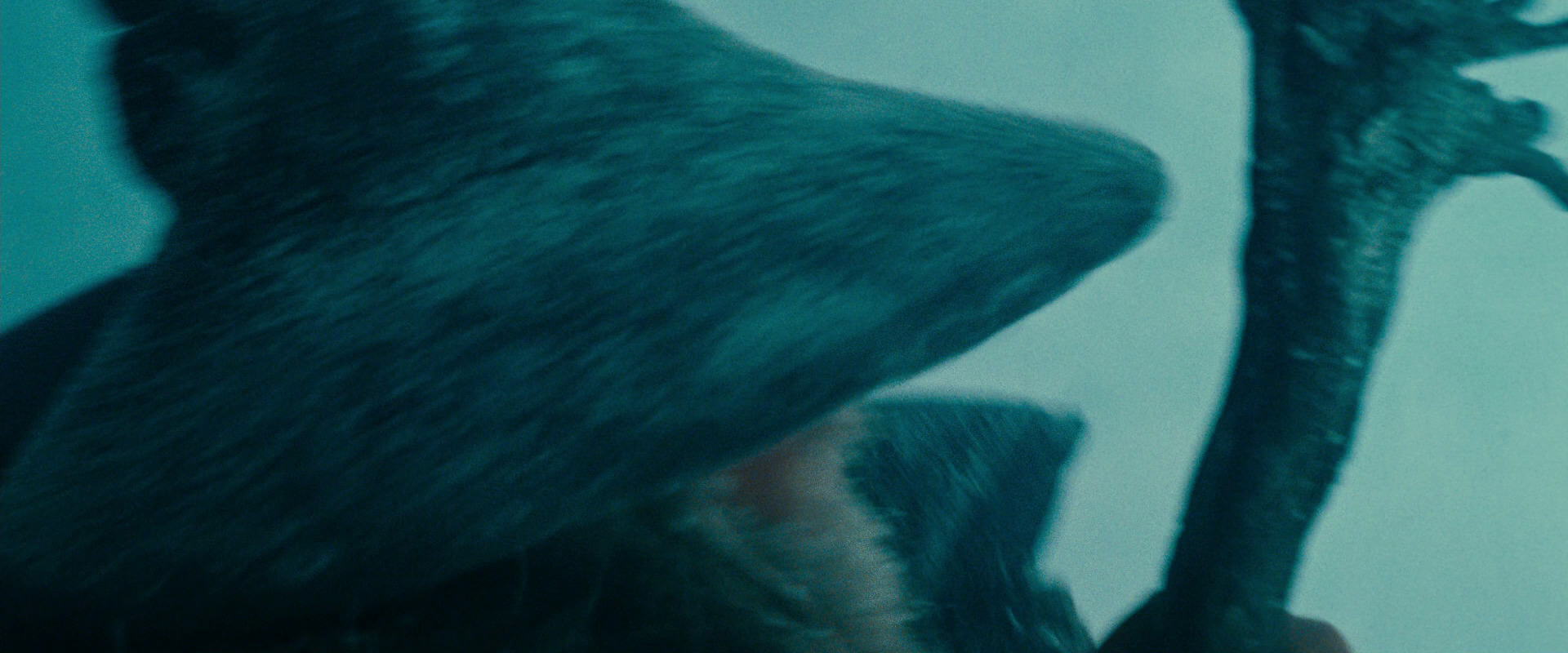 The Lord of the Rings: The Fellowship of the Ring (2001) HD screenshot 13676