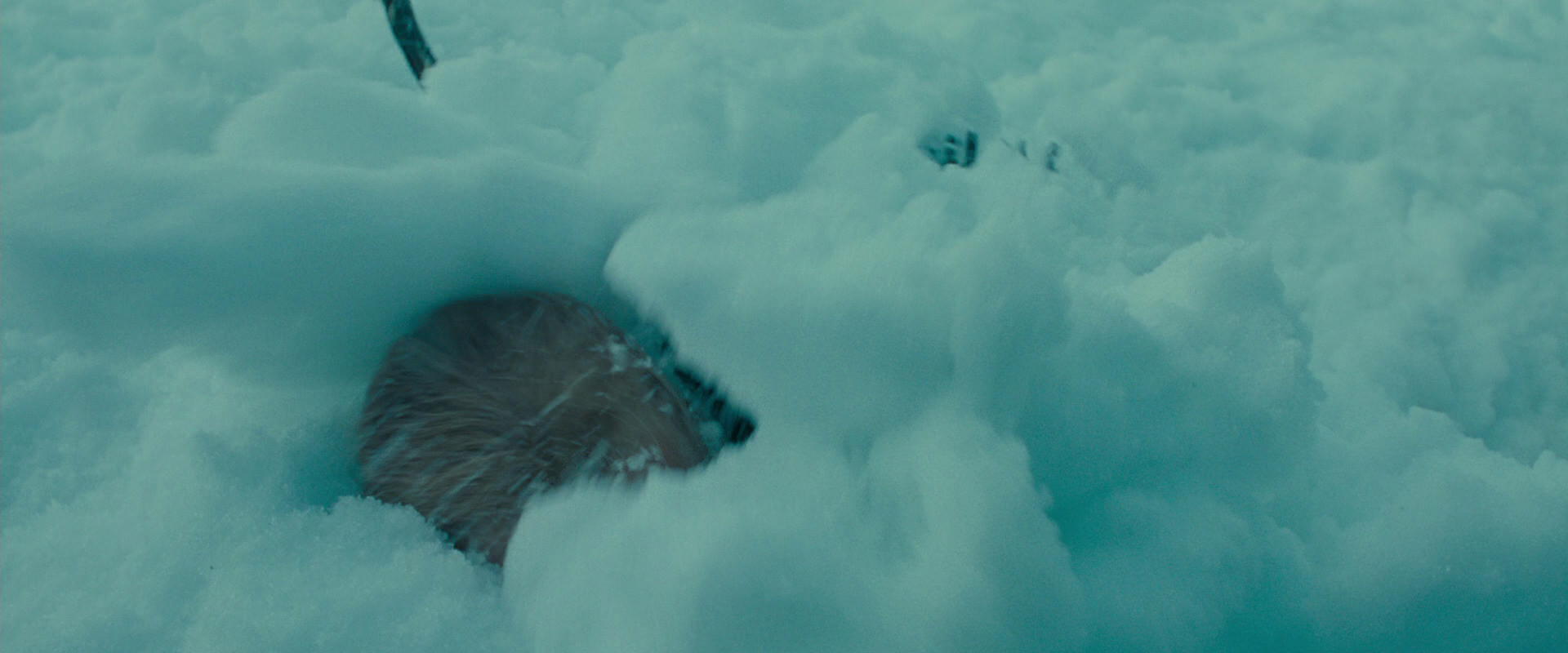 The Lord of the Rings: The Fellowship of the Ring (2001) movie still 13723