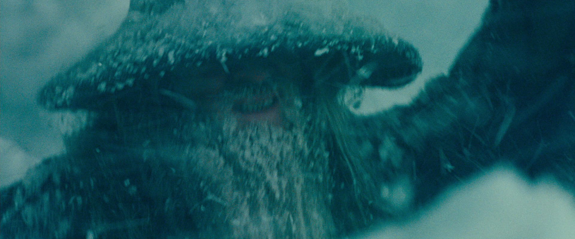 The Lord of the Rings: The Fellowship of the Ring (2001) movie still 13744