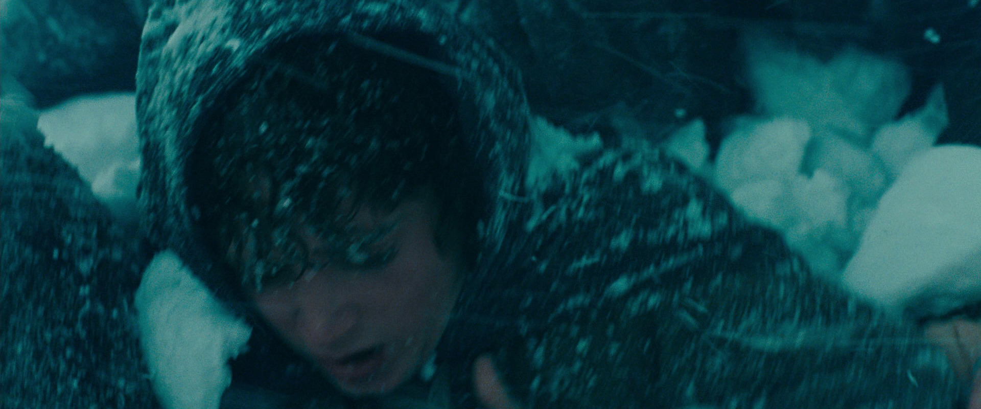 The Lord of the Rings: The Fellowship of the Ring (2001) screencap 13761