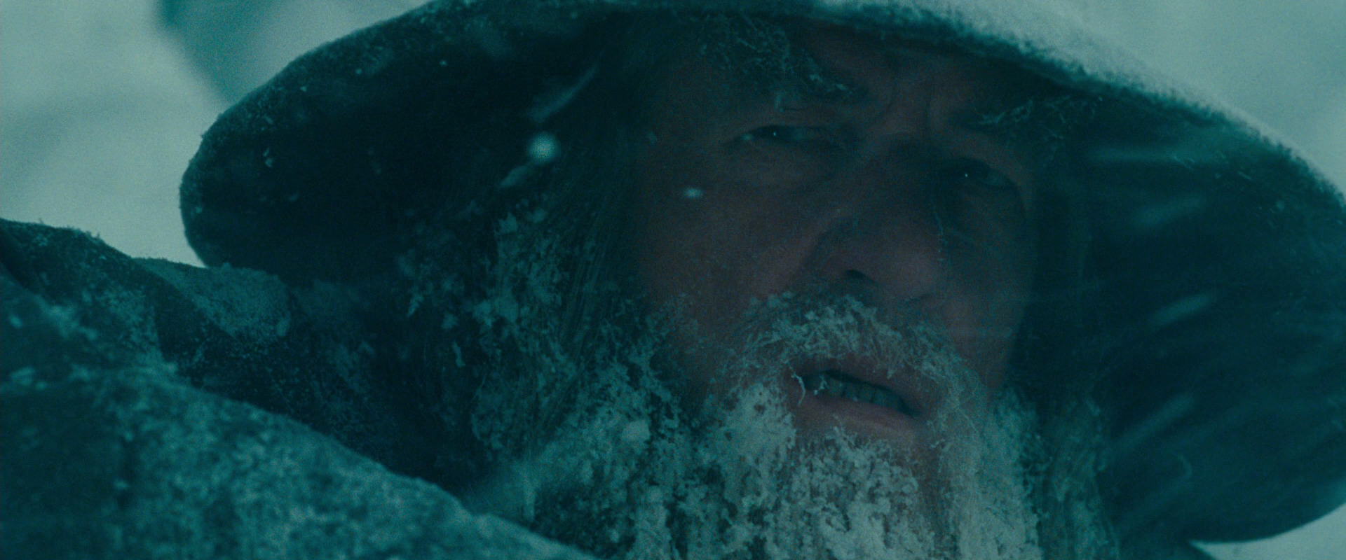 The Lord of the Rings: The Fellowship of the Ring (2001) screencap 13773