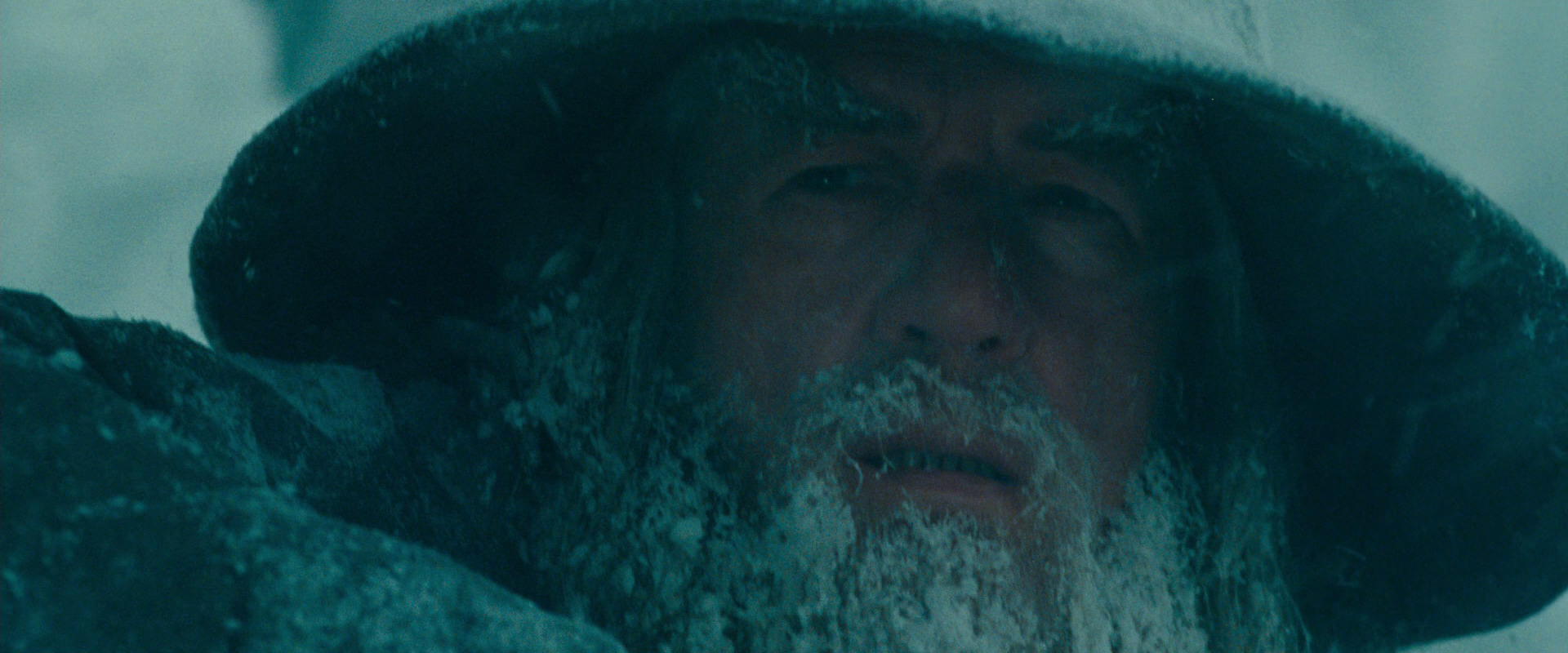 The Lord of the Rings: The Fellowship of the Ring (2001) screencap 13776