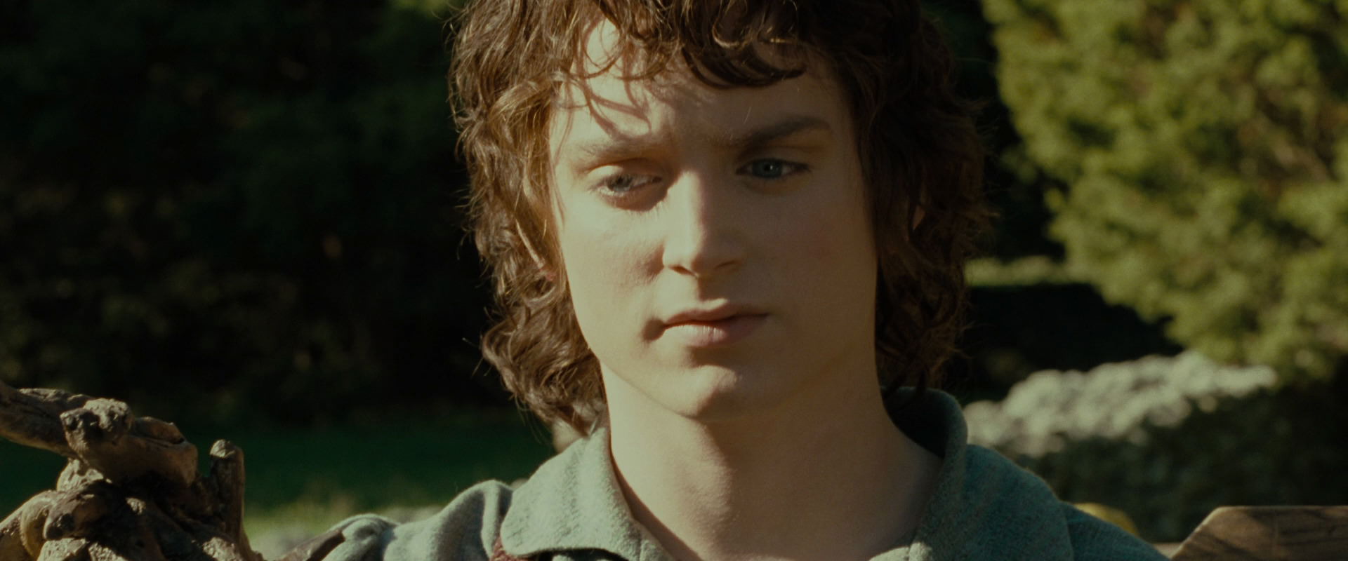 The Lord of the Rings: The Fellowship of the Ring (2001) screencap 1380