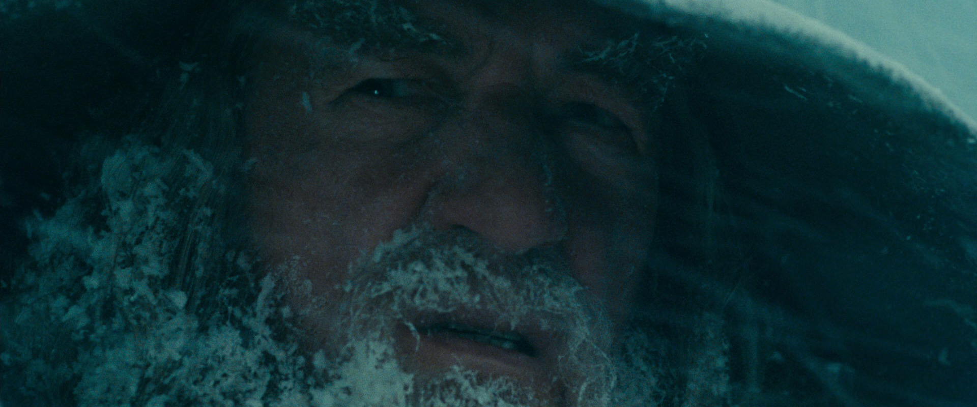The Lord of the Rings: The Fellowship of the Ring (2001) screencap 13800