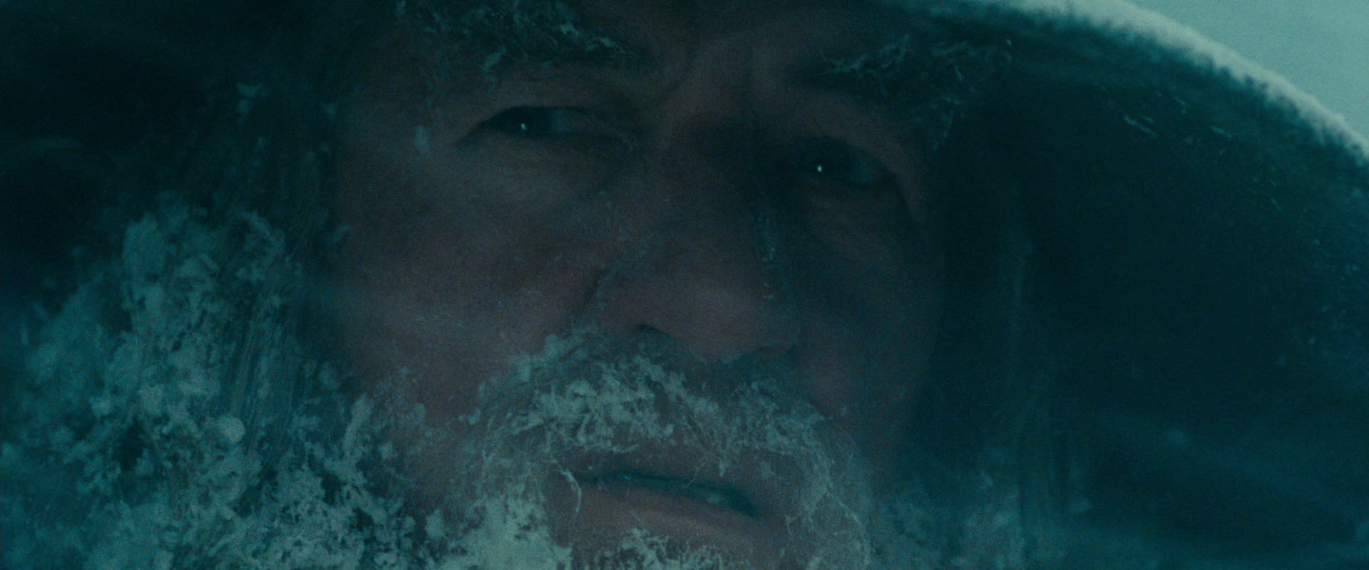 The Lord of the Rings: The Fellowship of the Ring (2001) screencap 13803