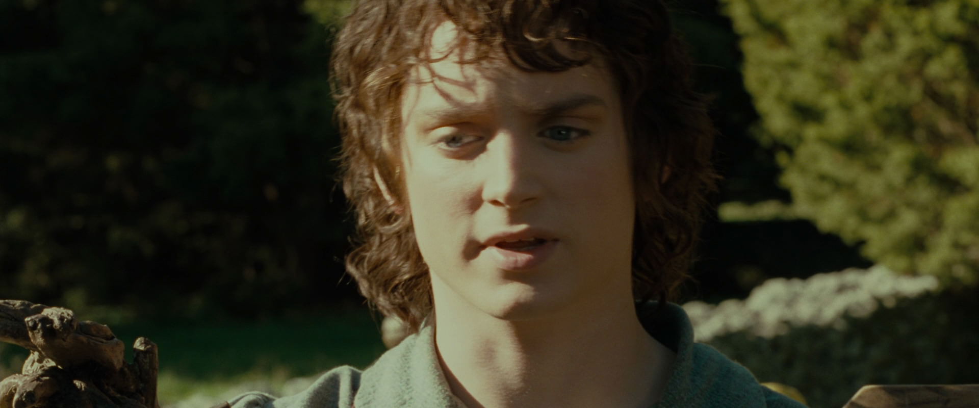 The Lord of the Rings: The Fellowship of the Ring (2001) HD screenshot 1382