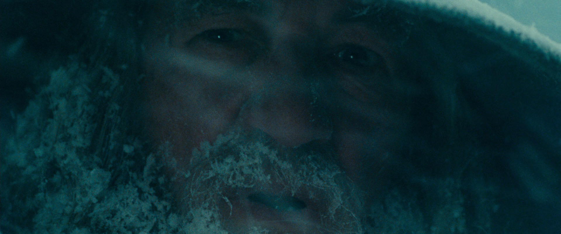 The Lord of the Rings: The Fellowship of the Ring (2001) screencap 13824