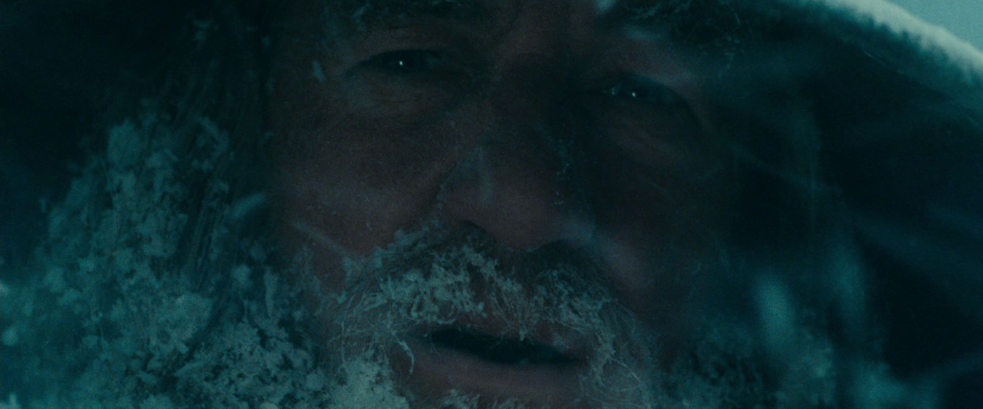 The Lord of the Rings: The Fellowship of the Ring (2001) screencap 13827