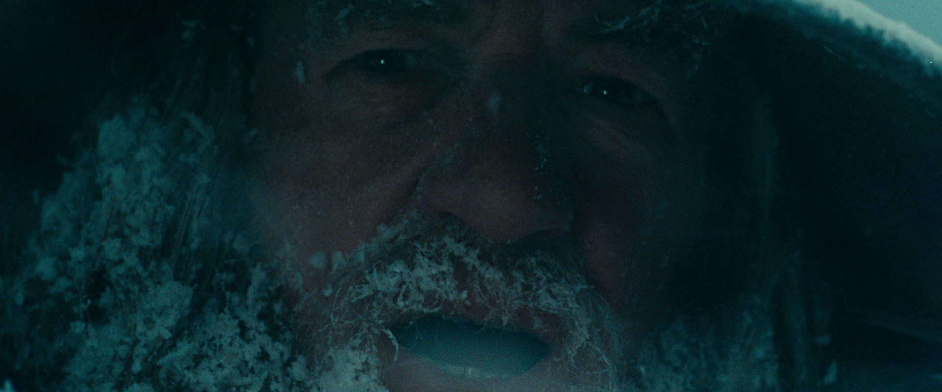 The Lord of the Rings: The Fellowship of the Ring (2001) HD screenshot 13829