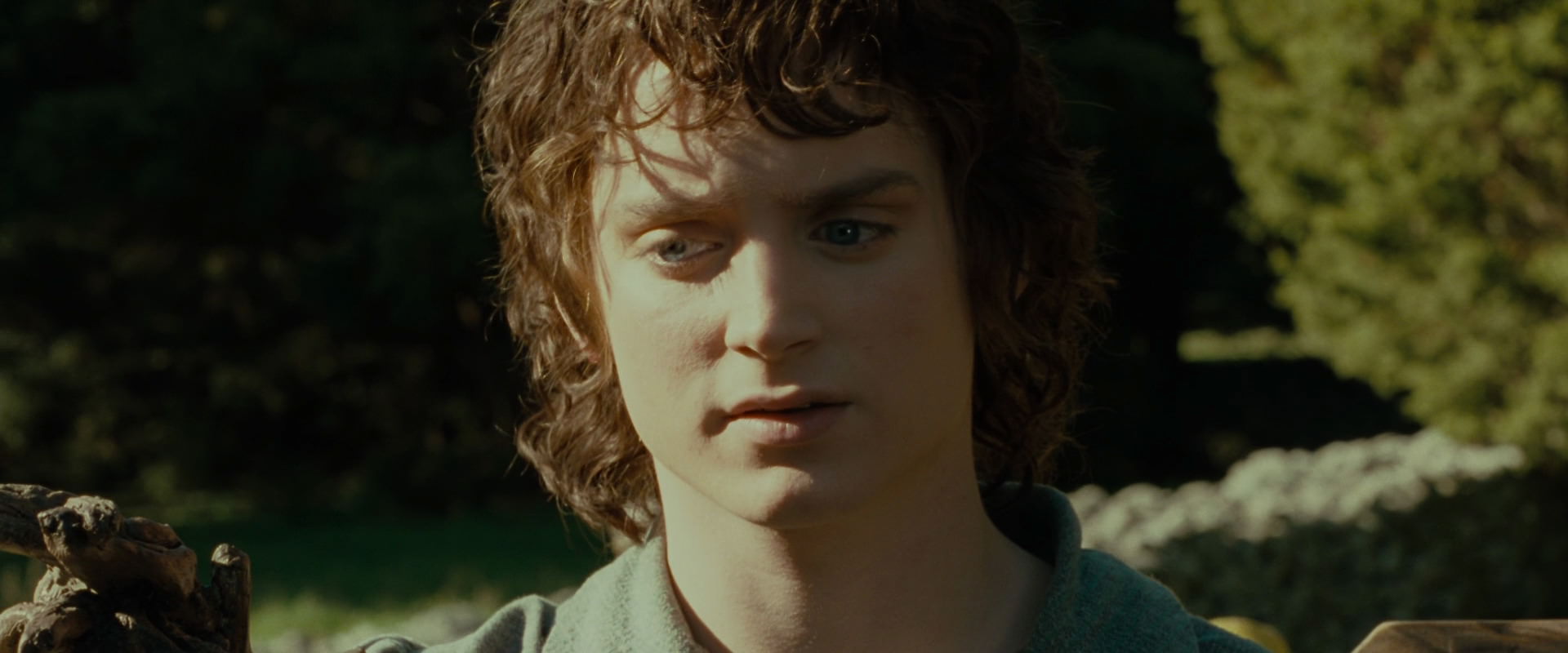 The Lord of the Rings: The Fellowship of the Ring (2001) screencap 1383