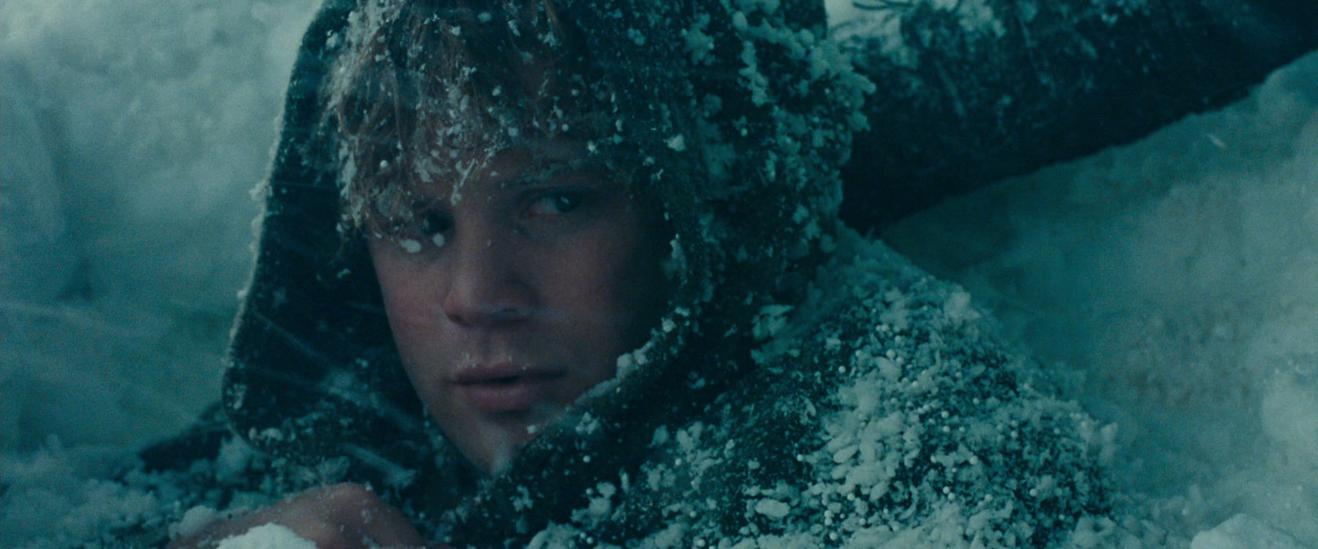 The Lord of the Rings: The Fellowship of the Ring (2001) screencap 13839