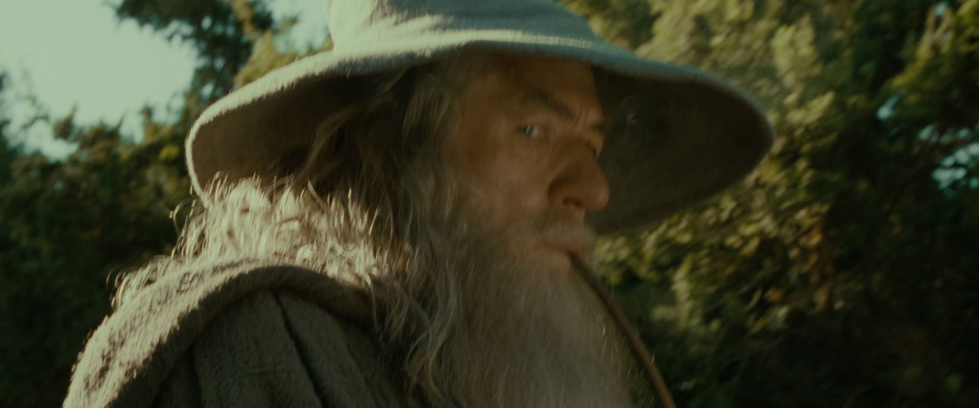 The Lord of the Rings: The Fellowship of the Ring (2001) movie still 1384
