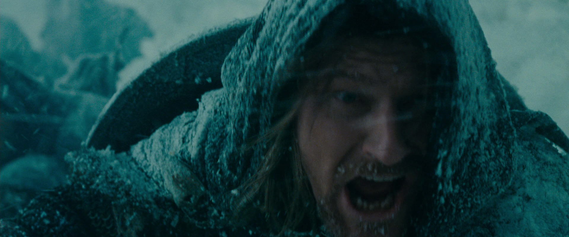 The Lord of the Rings: The Fellowship of the Ring (2001) screencap 13842