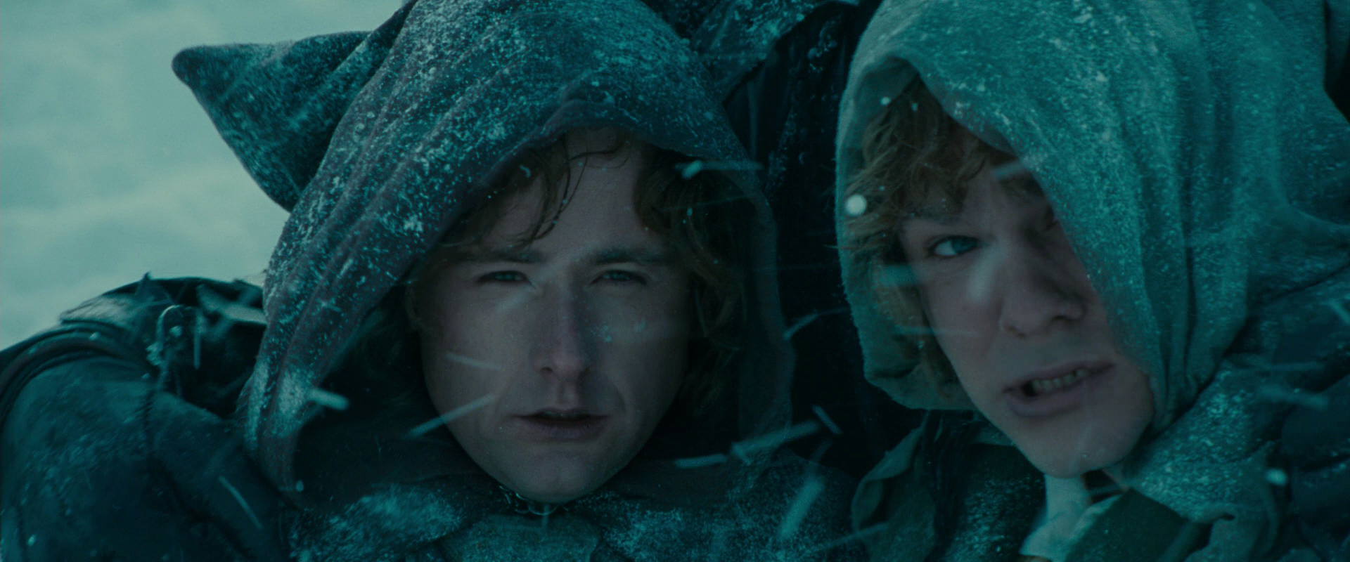 The Lord of the Rings: The Fellowship of the Ring (2001) screencap 13845