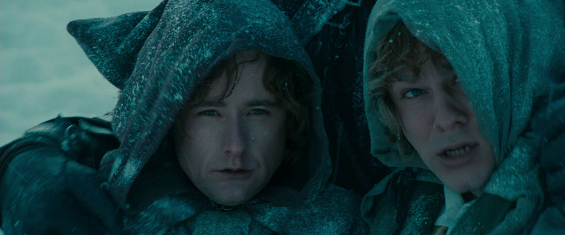 The Lord of the Rings: The Fellowship of the Ring (2001) movie still 13846