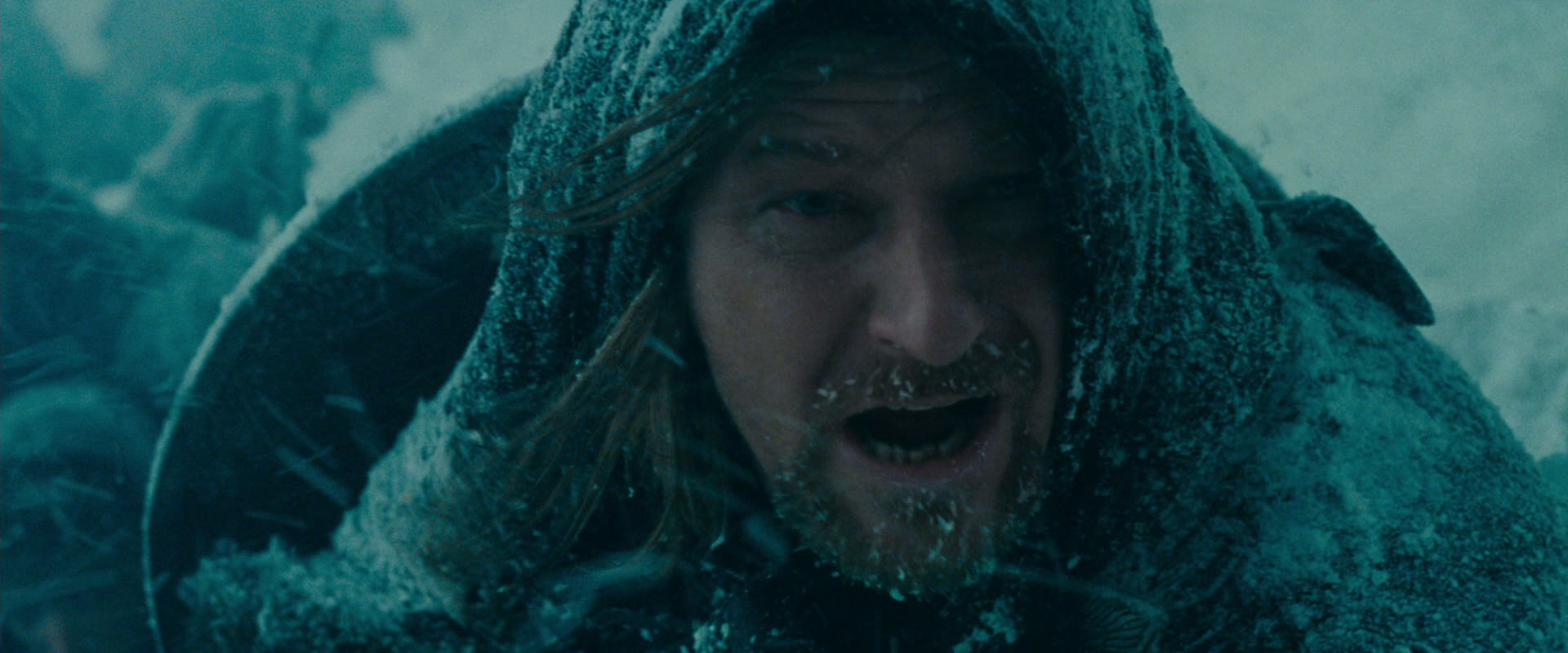 The Lord of the Rings: The Fellowship of the Ring (2001) screencap 13848