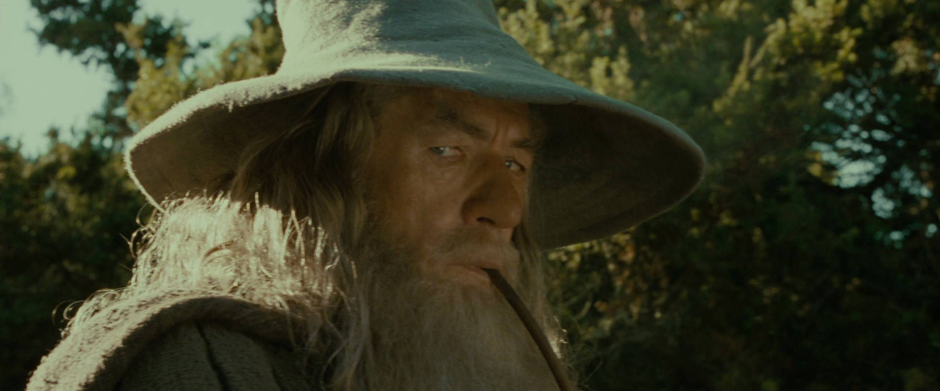 The Lord of the Rings: The Fellowship of the Ring (2001) HD screenshot 1385