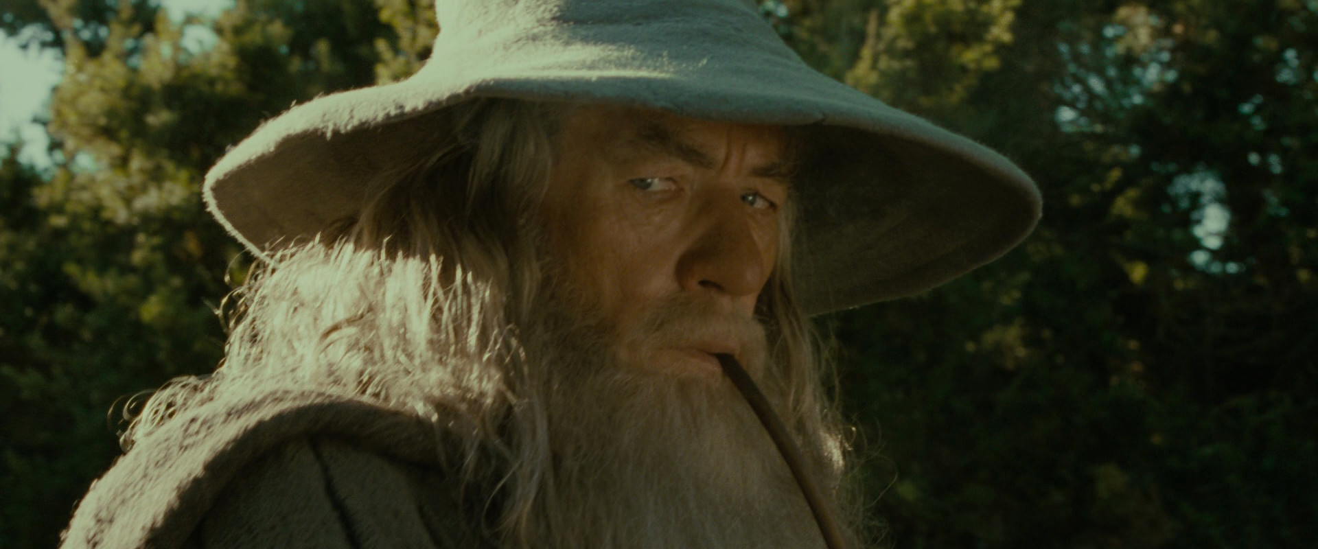 The Lord of the Rings: The Fellowship of the Ring (2001) screencap 1386