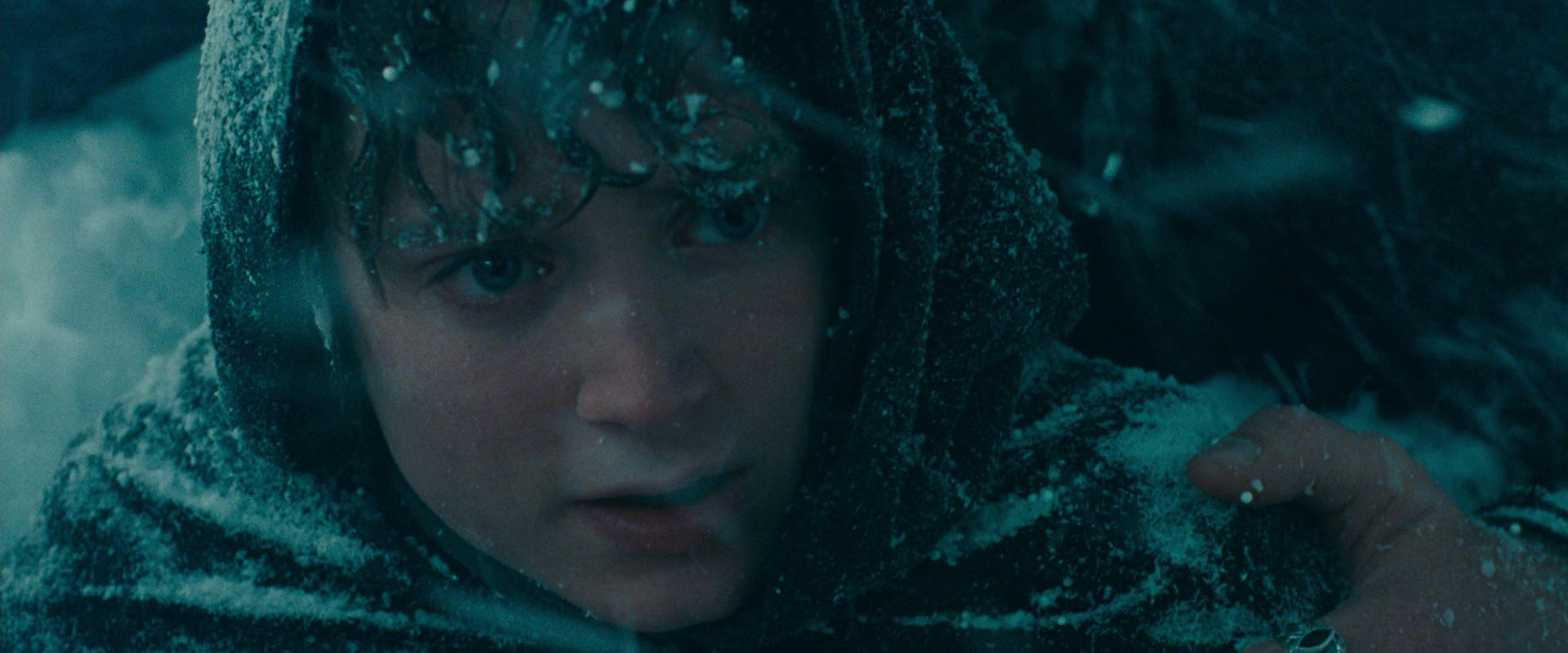The Lord of the Rings: The Fellowship of the Ring (2001) screencap 13863