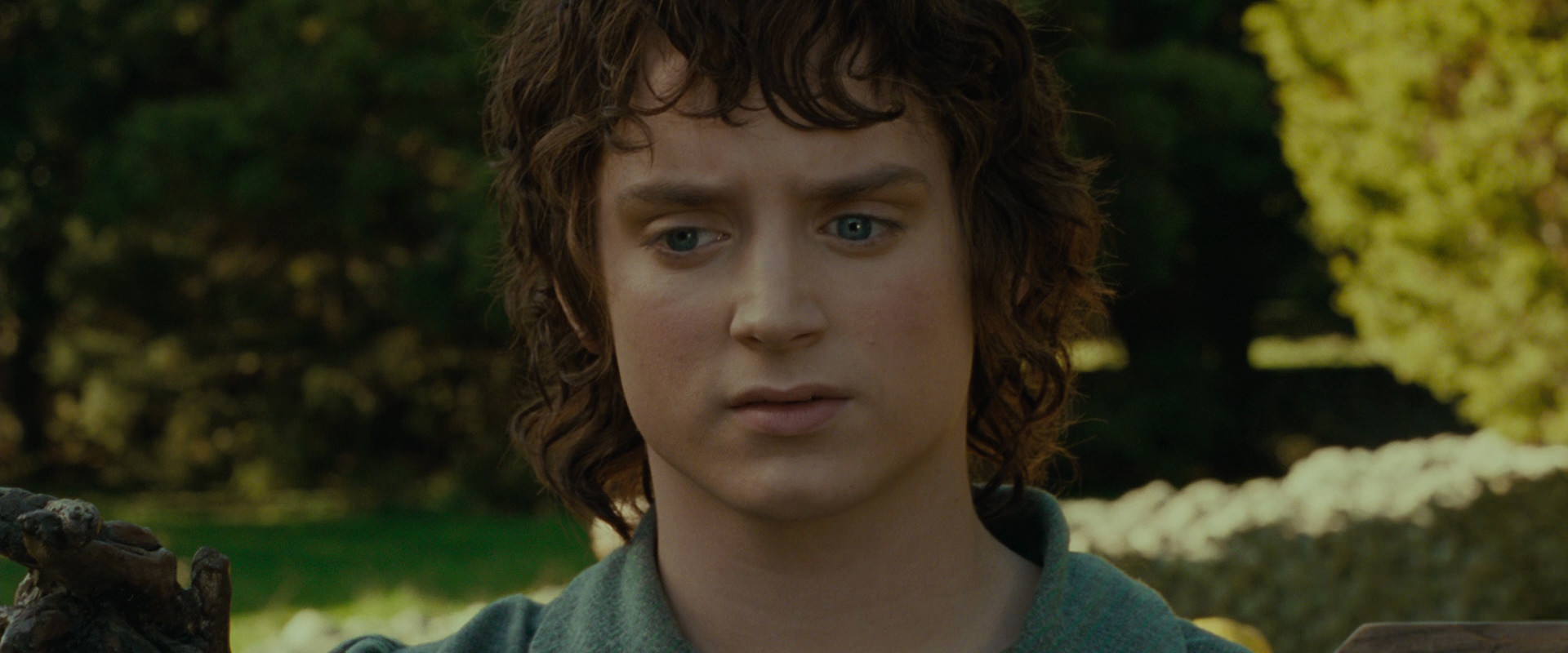 The Lord of the Rings: The Fellowship of the Ring (2001) movie still 1387