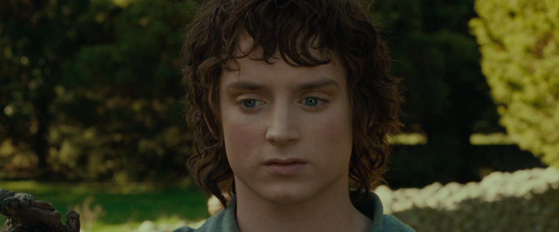 The Lord of the Rings: The Fellowship of the Ring (2001) screencap 1389